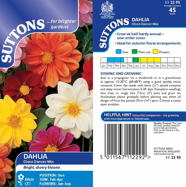 Dahlia 'Disco Dancer Mix' - Seeds - Image 4
