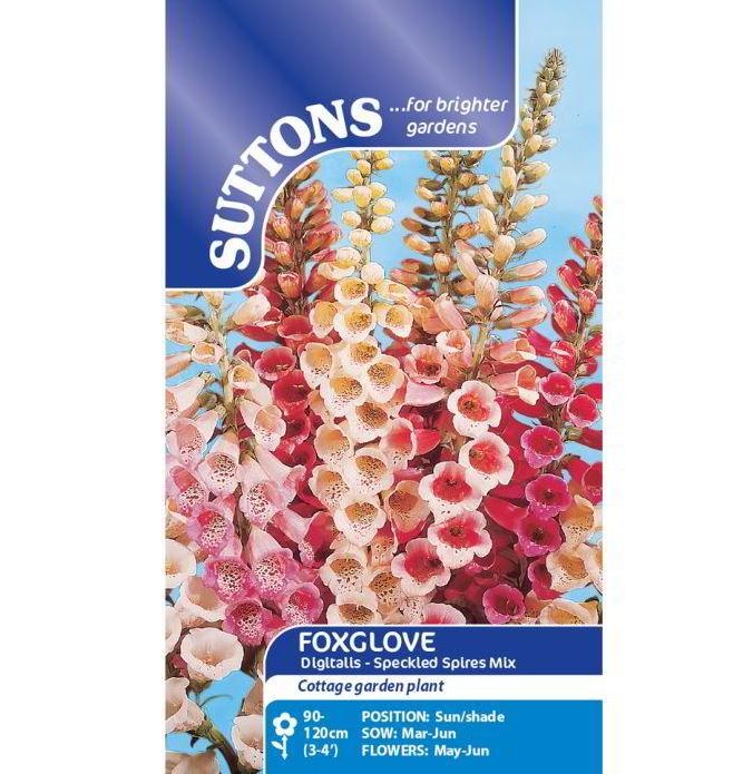 Digitalis 'Speckled Spires Mix' - Seeds