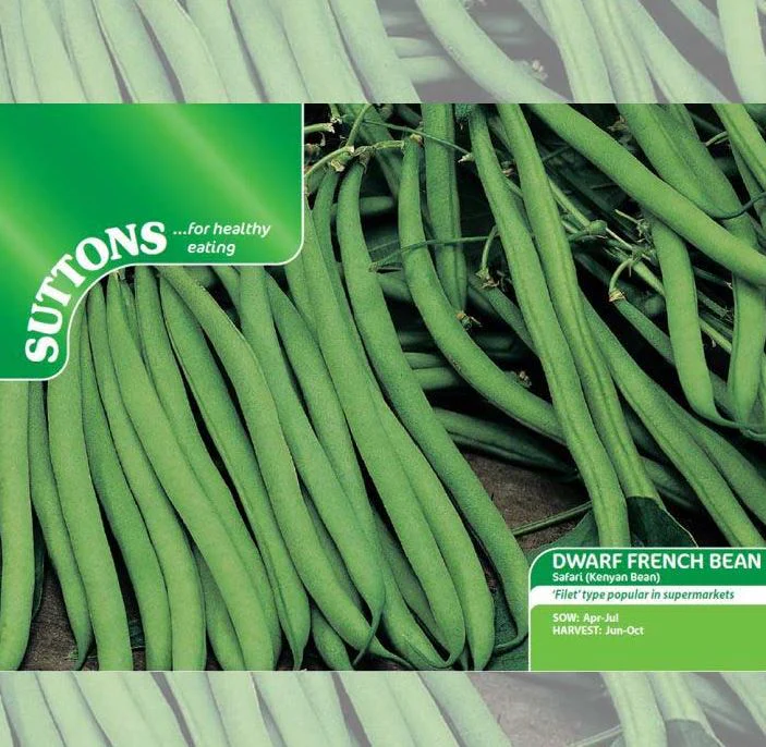 Dwarf French Bean 'Safari' - Seeds