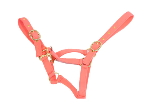 Equisential Nylon Headcollar Full - Image 5