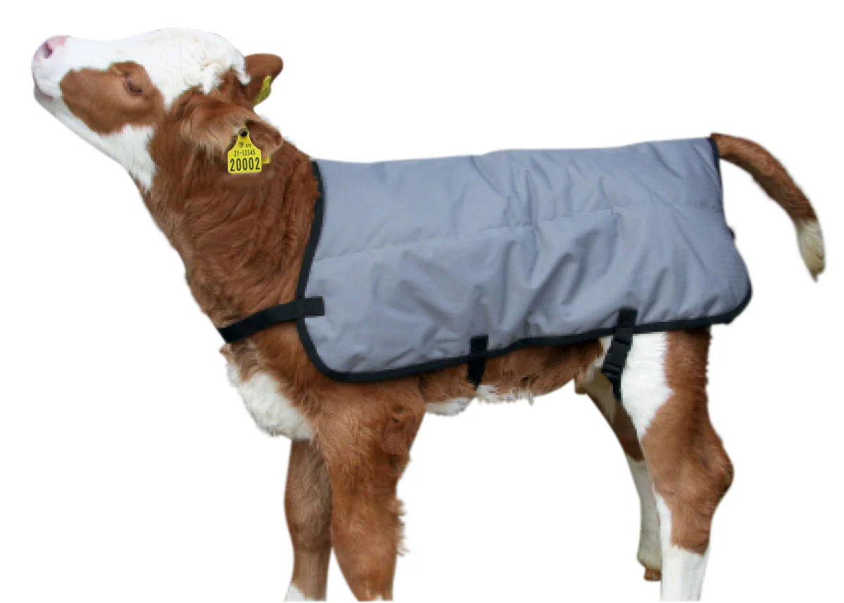 Breathable Calf Jacket - Image 2