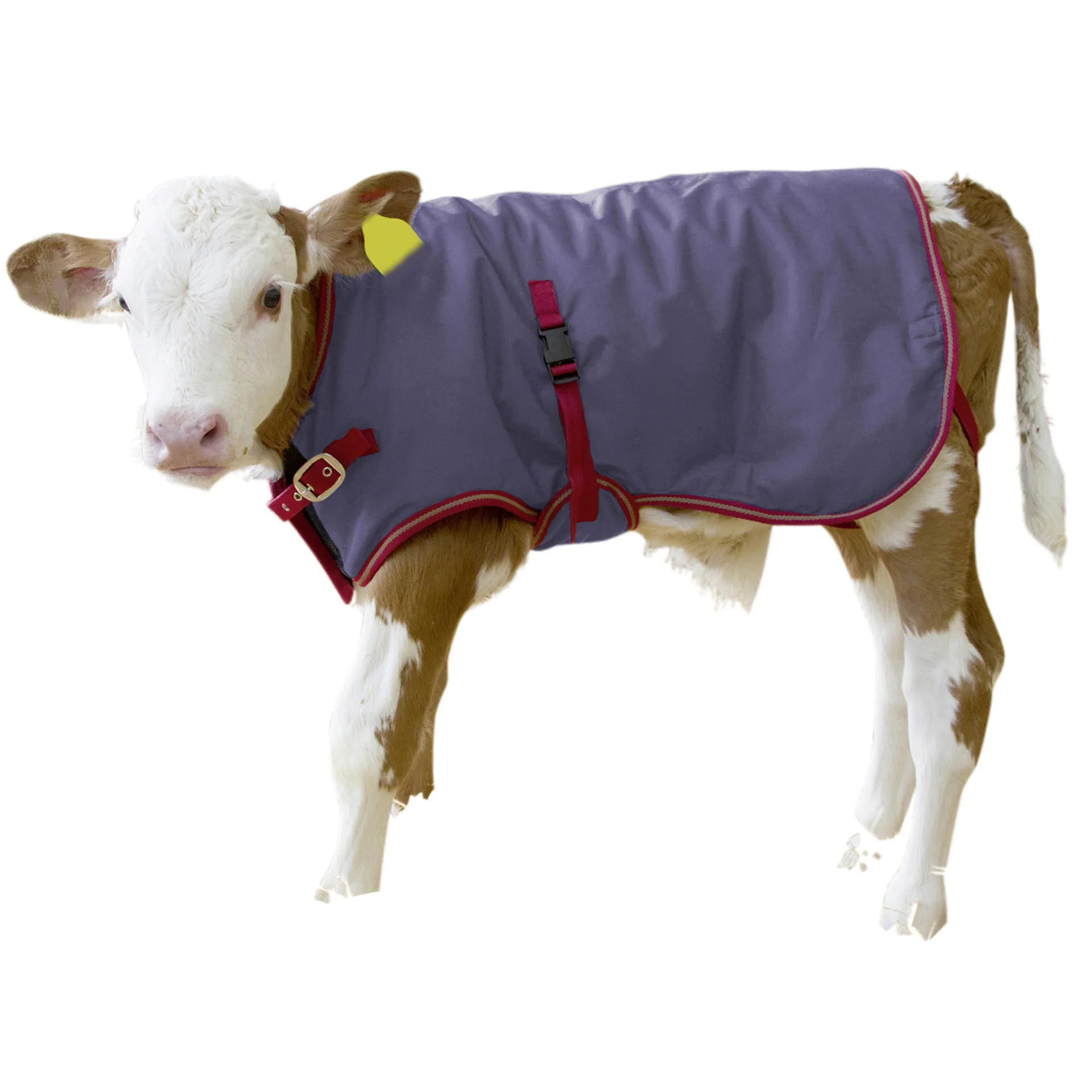 Calf Jacket Thermo Plus Breathable - Image 2