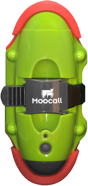 Moocall Calving Sensor