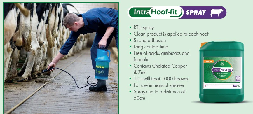 Intra Hoof-fit Bath Solution 10L - Image 2