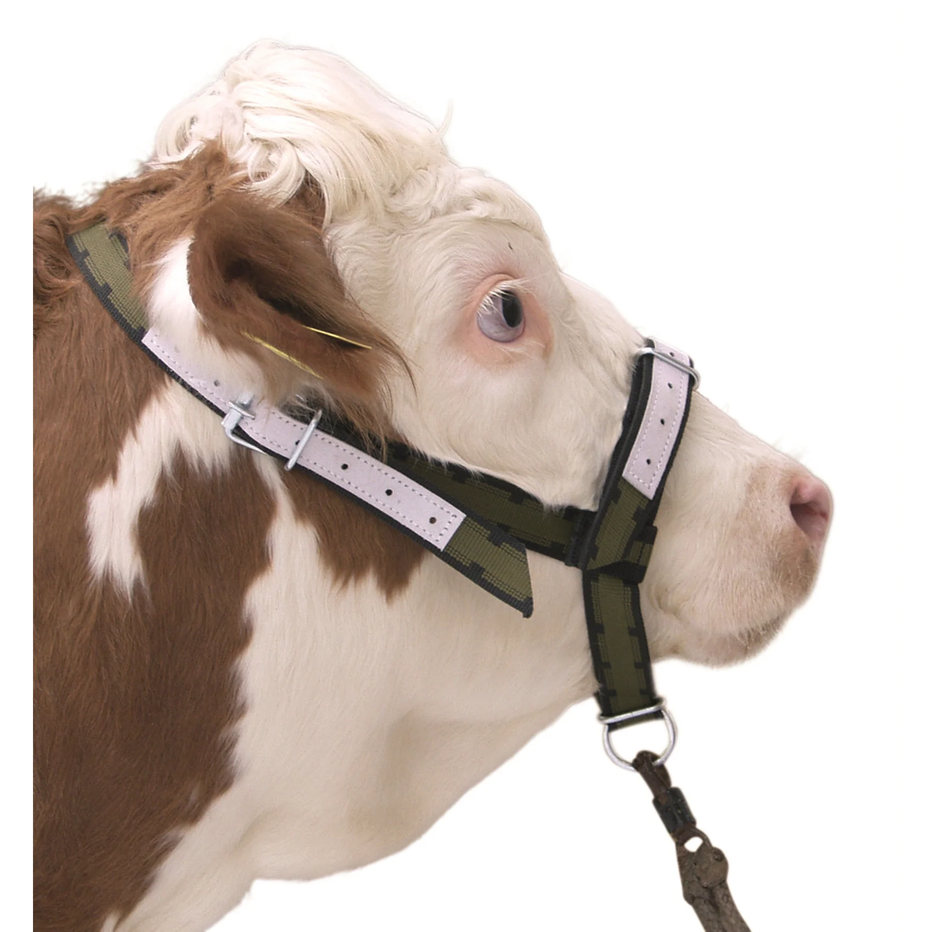 Nylon Cattle Halter Olive Green - Image 2