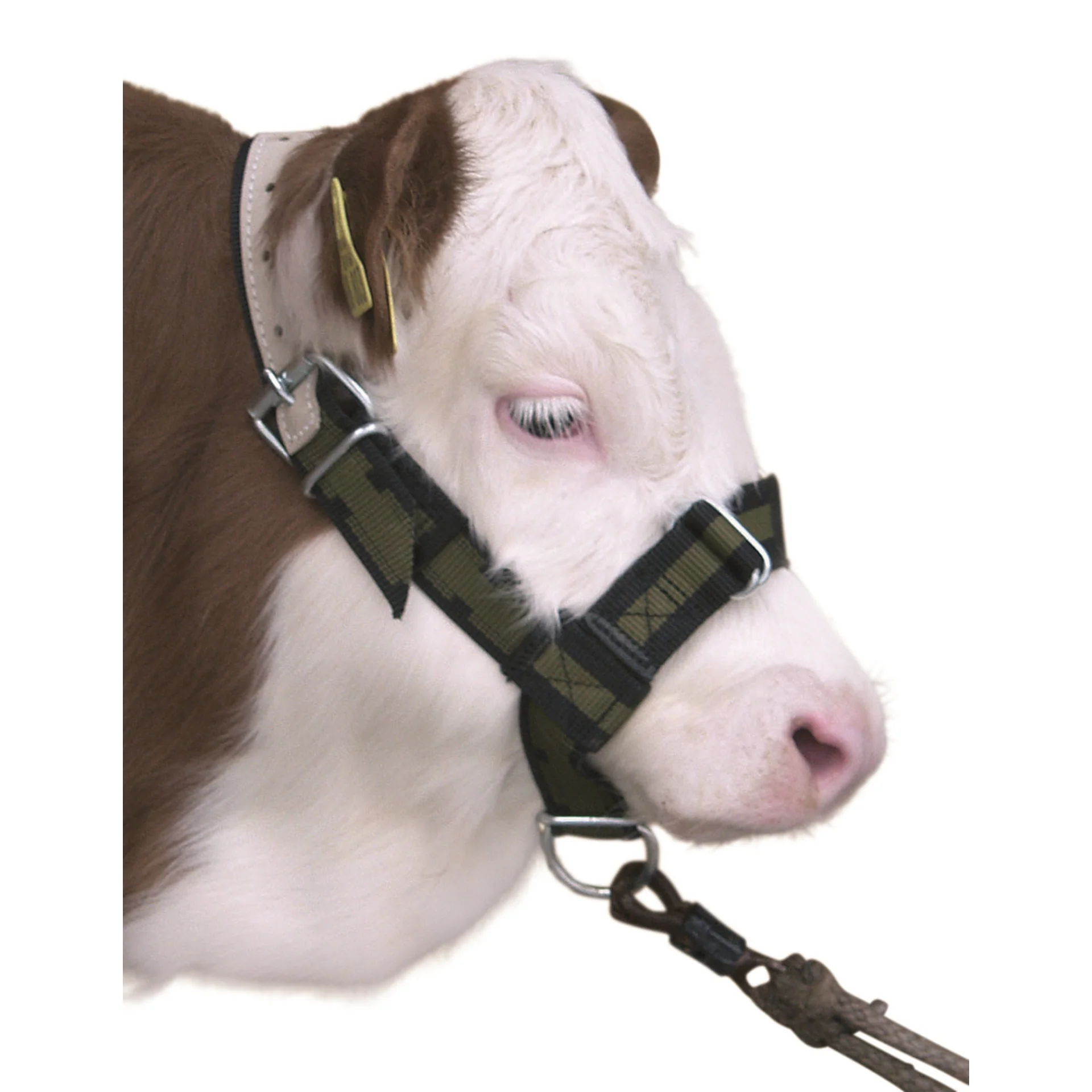 Nylon Calf Halter Olive Green - Image 2