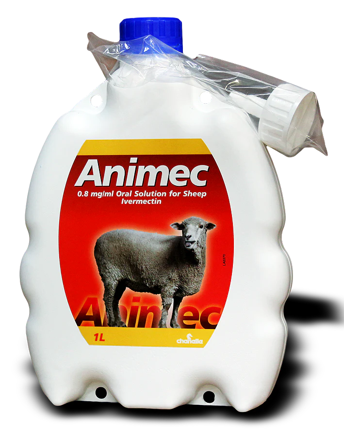 Animec Oral Sheep - Image 2