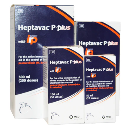 Heptavac P Plus - Image 2