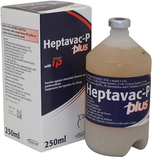 Heptavac P Plus - Image 3