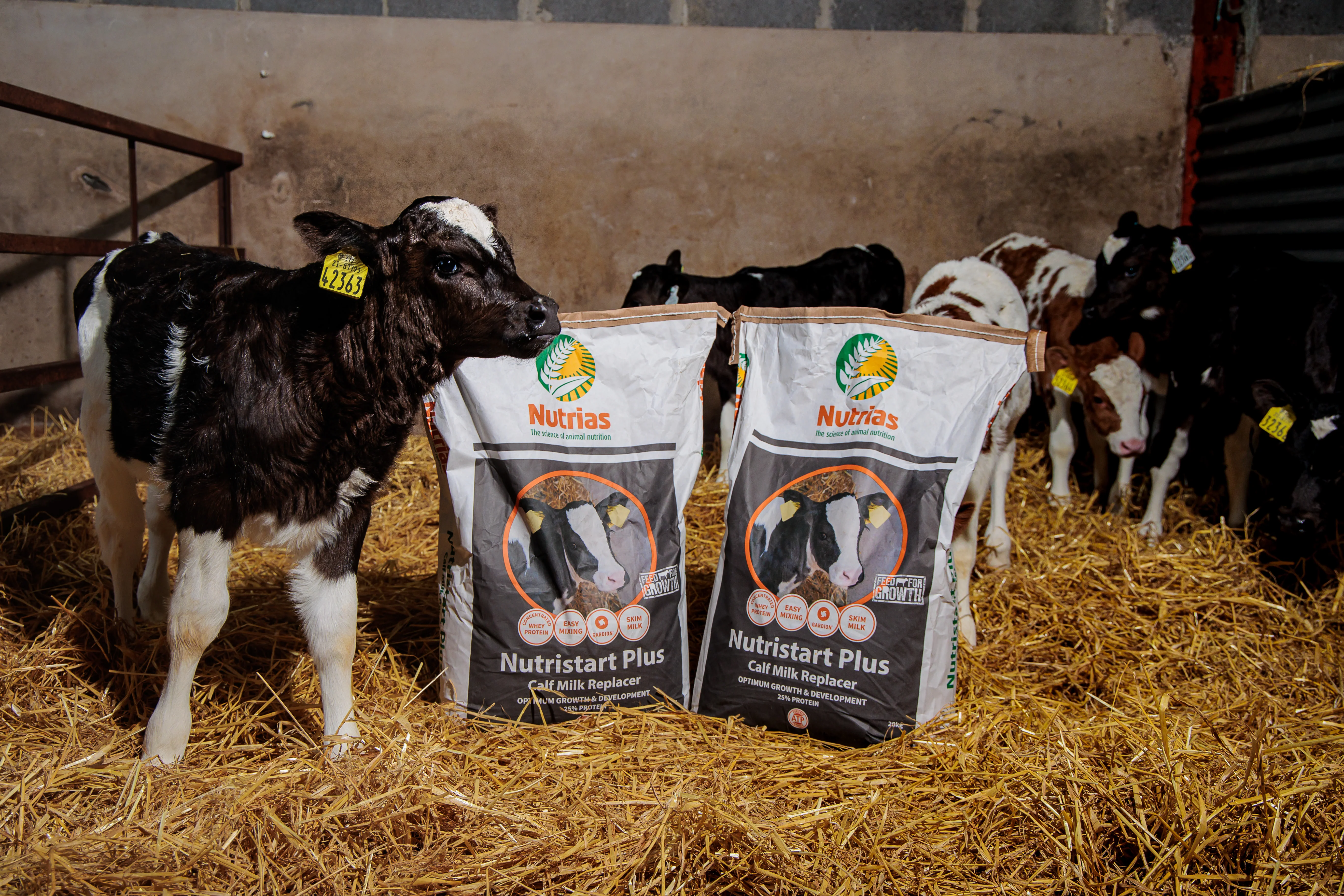 Nutrias Nutri Start Plus Calf Milk Replacer - 20kg - Image 2