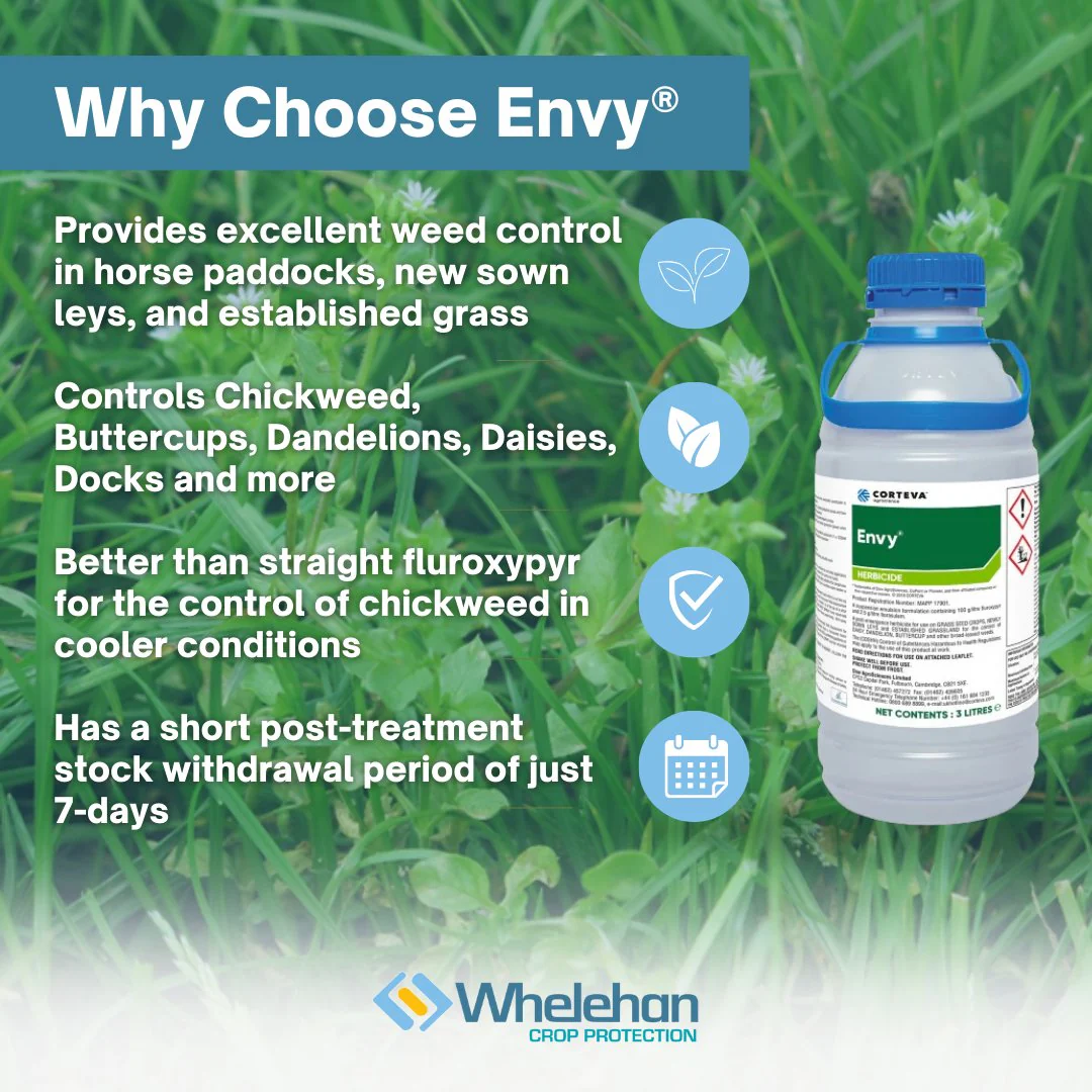 Envy 3L - Image 2