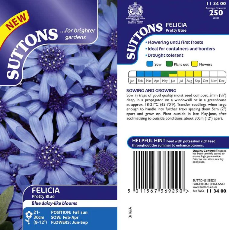 Felicia 'Pretty Blue' - Seeds - Image 2