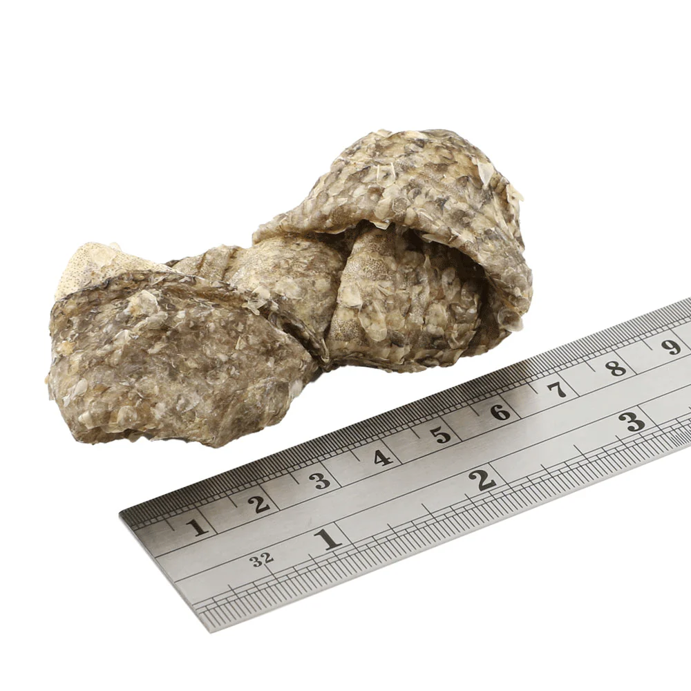 Fish4Dogs Dental Sea Jerky Fish Knots 100g - Image 3