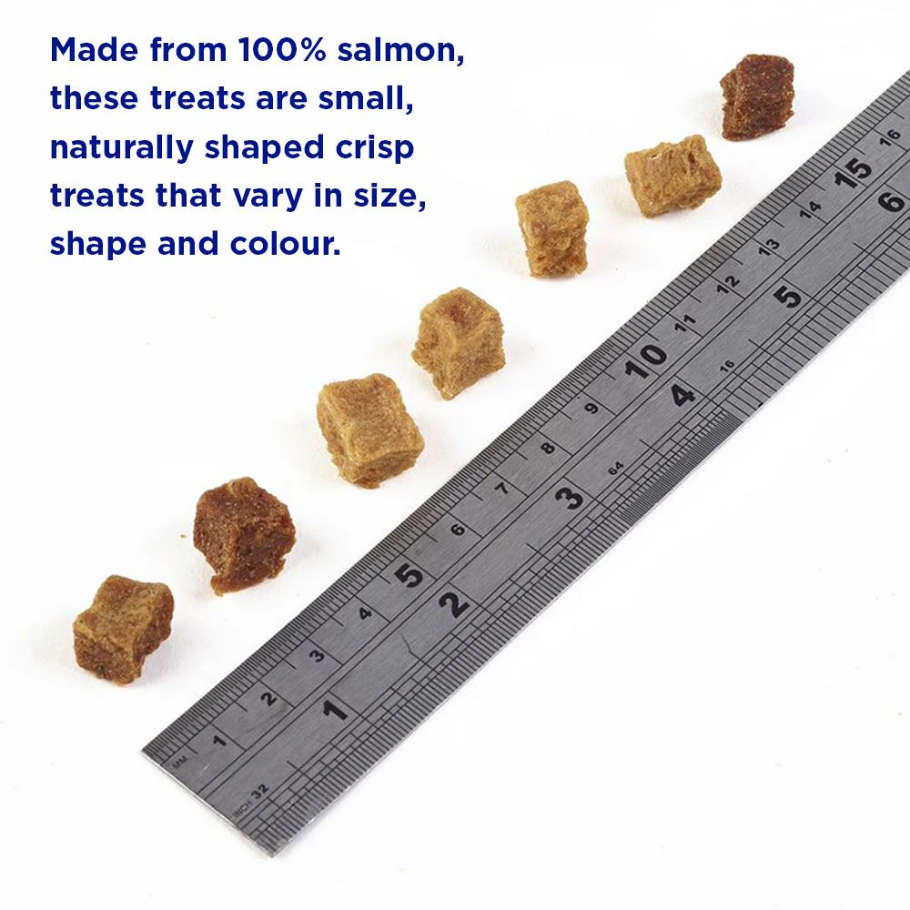 Fish4Dogs Training Puppy Salmon Bites 80g - Image 2