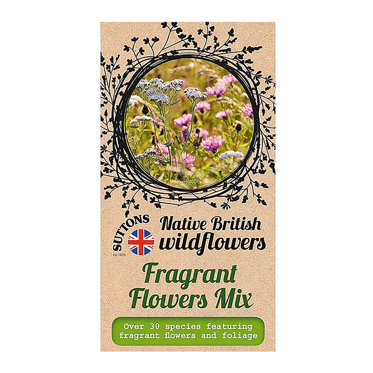 Flower Garden Fragrant Mix Flower Seeds - Image 2