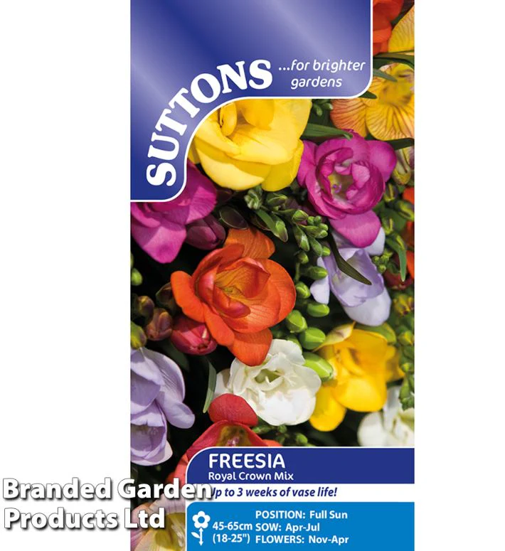 Freesia 'Royal Crown Mix' - Seeds - Image 2