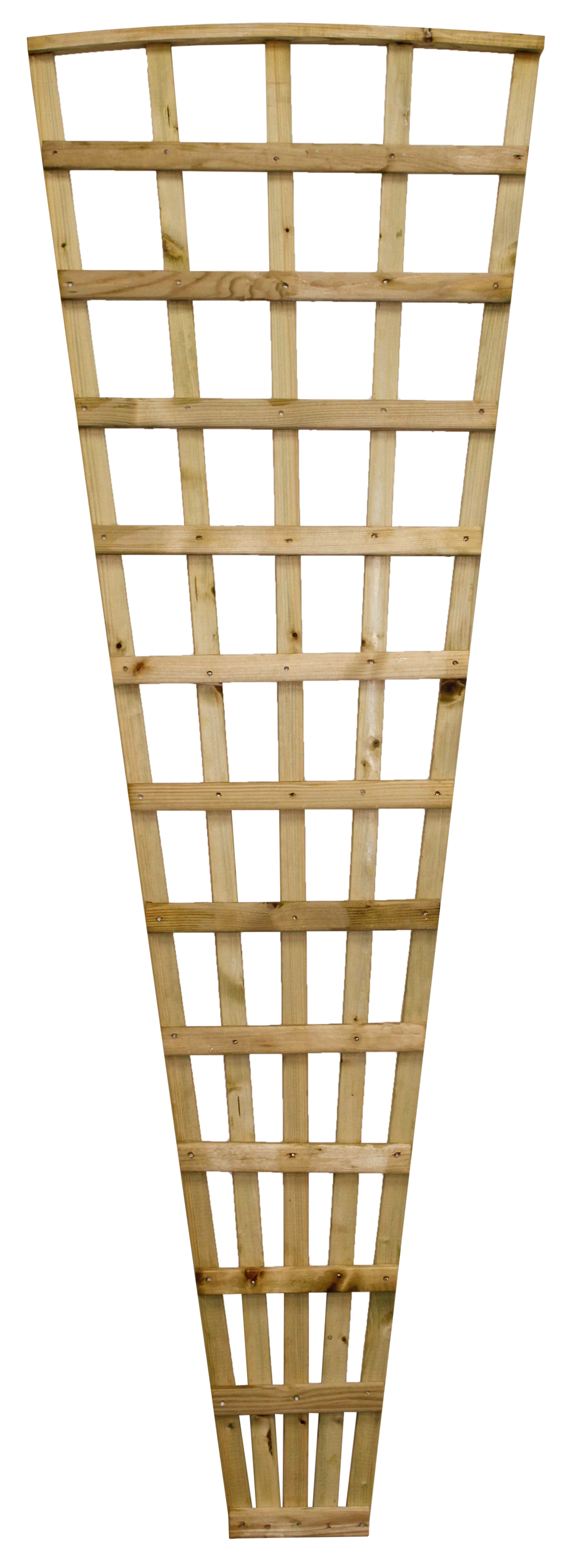 Fan Trellis