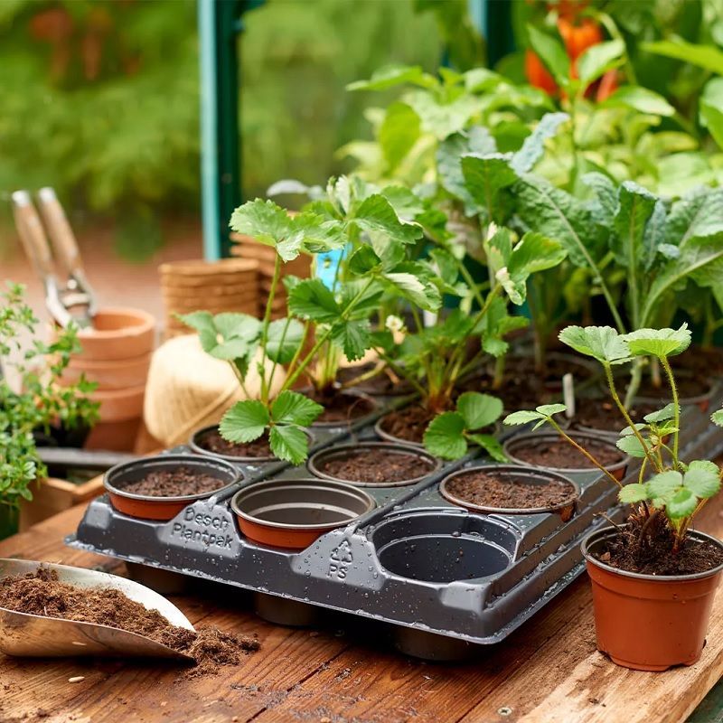 Gro-Sure Growing Tray 18 Pot Round - Image 2