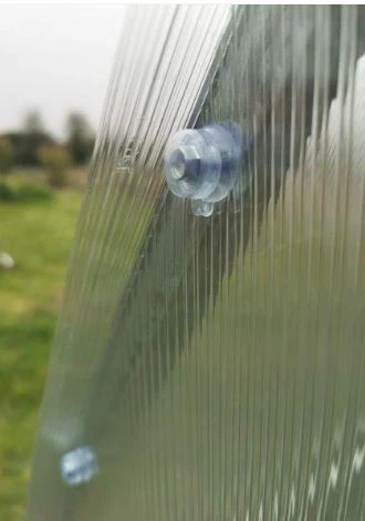 Classic Polycarbonate Greenhouse 3m X 6m - Image 3