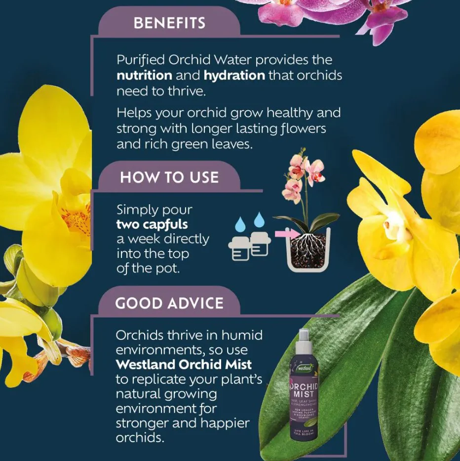 Westland Orchid Water RTU 720ml - Image 3
