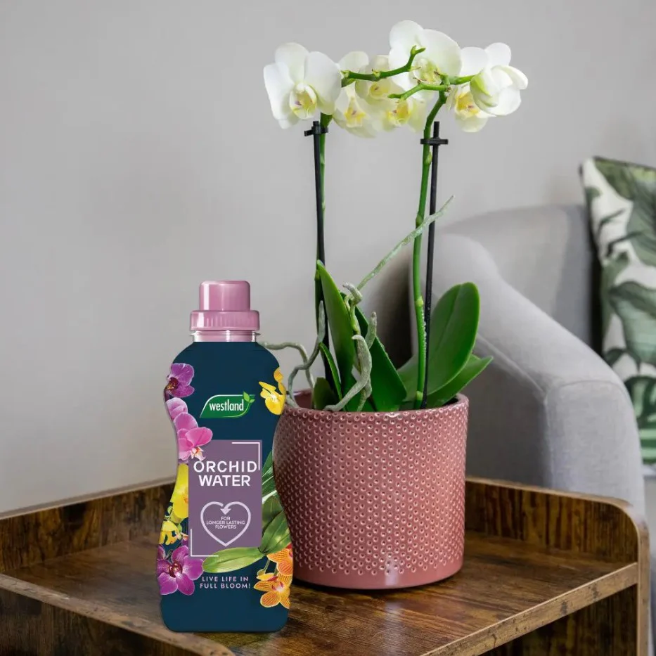 Westland Orchid Water RTU 720ml - Image 5