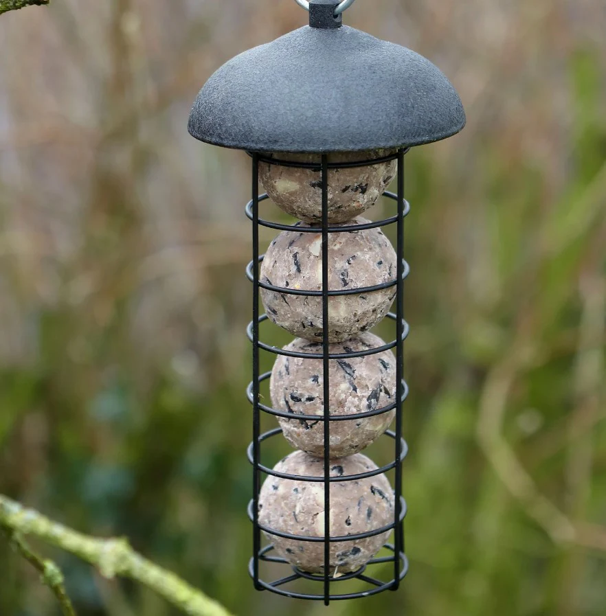 Gardman Black Steel Fat Snax Bird Feeder - Image 2