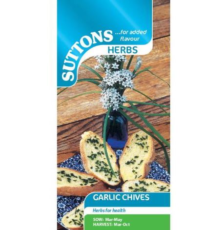 Garlic Chives - Herb Seeds - Image 4