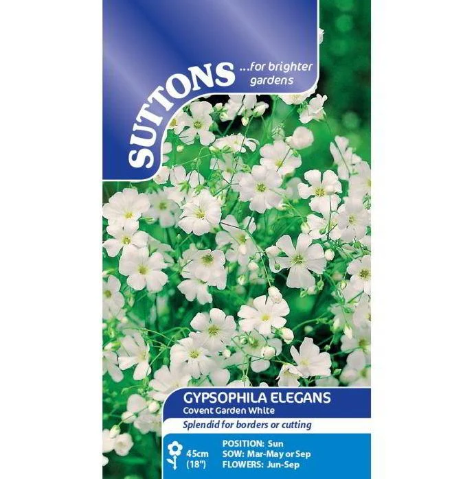 Gypsophila 'Covent Garden White' - Seeds - Image 2