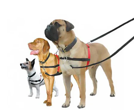 Halti Harness - Front Control - Image 3