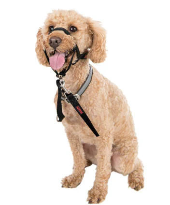 HALTI Headcollar - Image 3