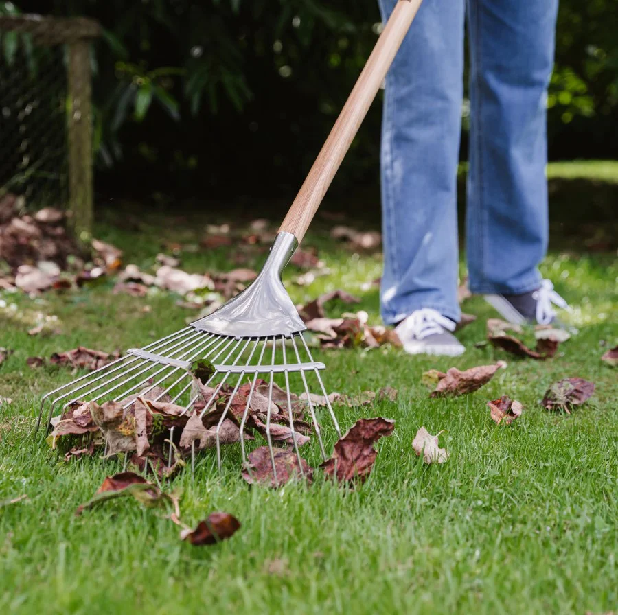 Kent & Stowe Garden Life Lawn Rake - Image 3