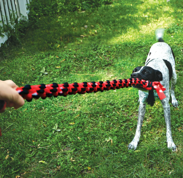 Kong Signature Rope Double Ring Tug - Image 2