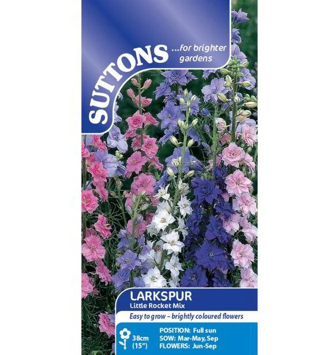 Larkspur 'Little Rocket Mix' - Seeds - Image 2