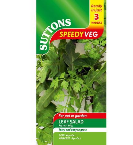 Leaf Salad 'French Mix' - Seeds - Image 2