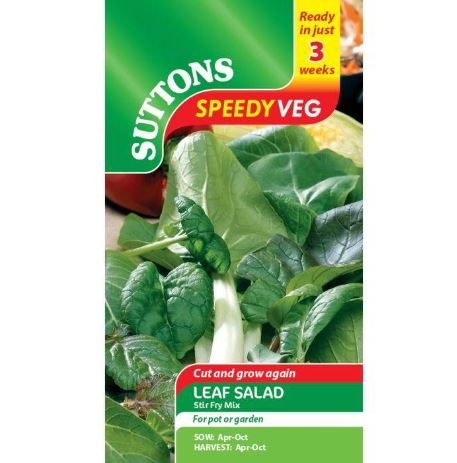 Leaf Salad 'Stir Fry Mix' - Speedy Veg Seeds