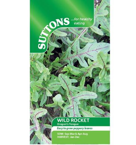 Leaf Salad 'Wild Dragons Tongue' - Seeds - Image 3