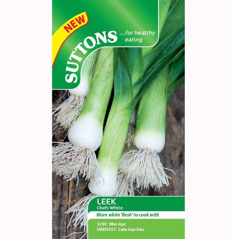Leek 'Chefs White' - Seeds - Image 2