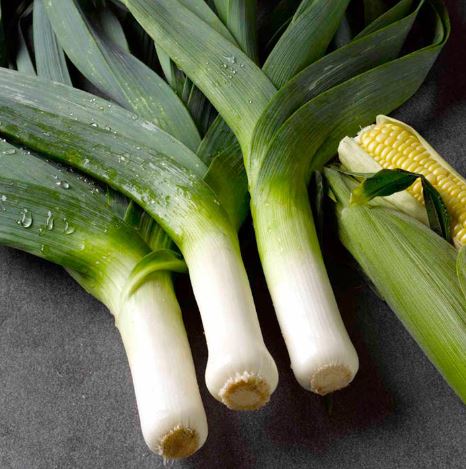 Leek 'Musselburgh' - Seeds