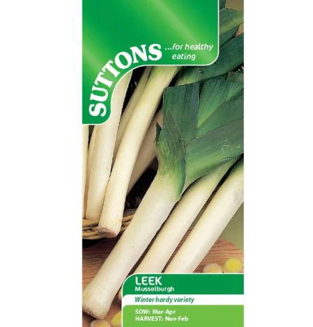 Leek 'Musselburgh' - Seeds - Image 2