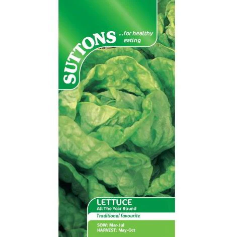 Lettuce 'All The Year Round' - Seeds