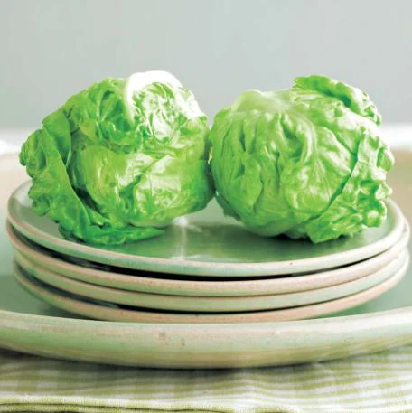 Lettuce 'Little Gem' - Seeds - Image 2