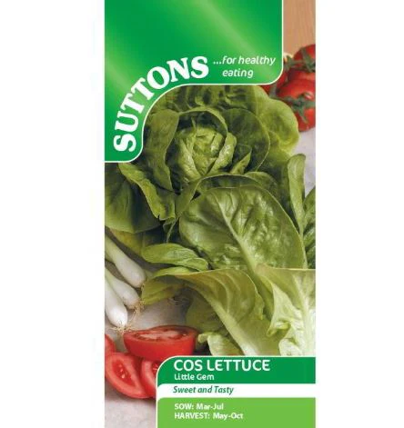 Lettuce 'Little Gem' - Seeds - Image 4