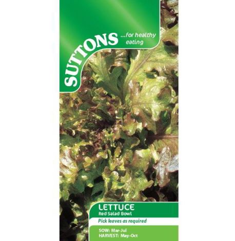 Lettuce 'Red Salad Bowl' - Seeds