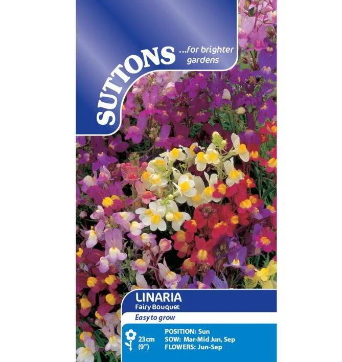 Linaria 'Fairy Bouquet' - Seeds - Image 2