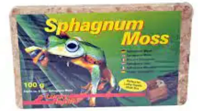 Lucky Reptile Sphagnum Moss