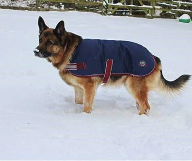 MACKEY BUSTER 600D DOG RUG 30CM NAVY/BURG