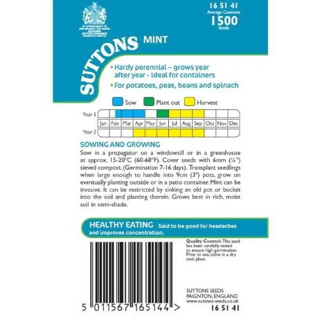 Mint - Herb Seeds - Image 4