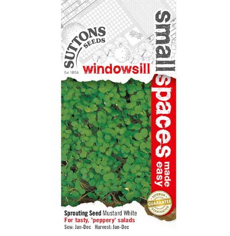 Mustard 'White' - Seeds - Image 2