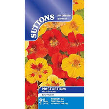 Nasturtium Little Gem Mix Flower Seeds - Image 2