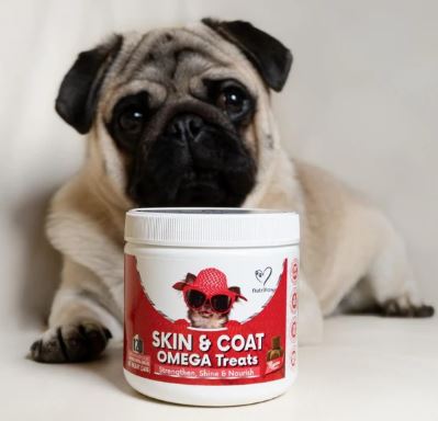 NutriPaw Skin & Coat Omega Treats 120 Chews - Image 2
